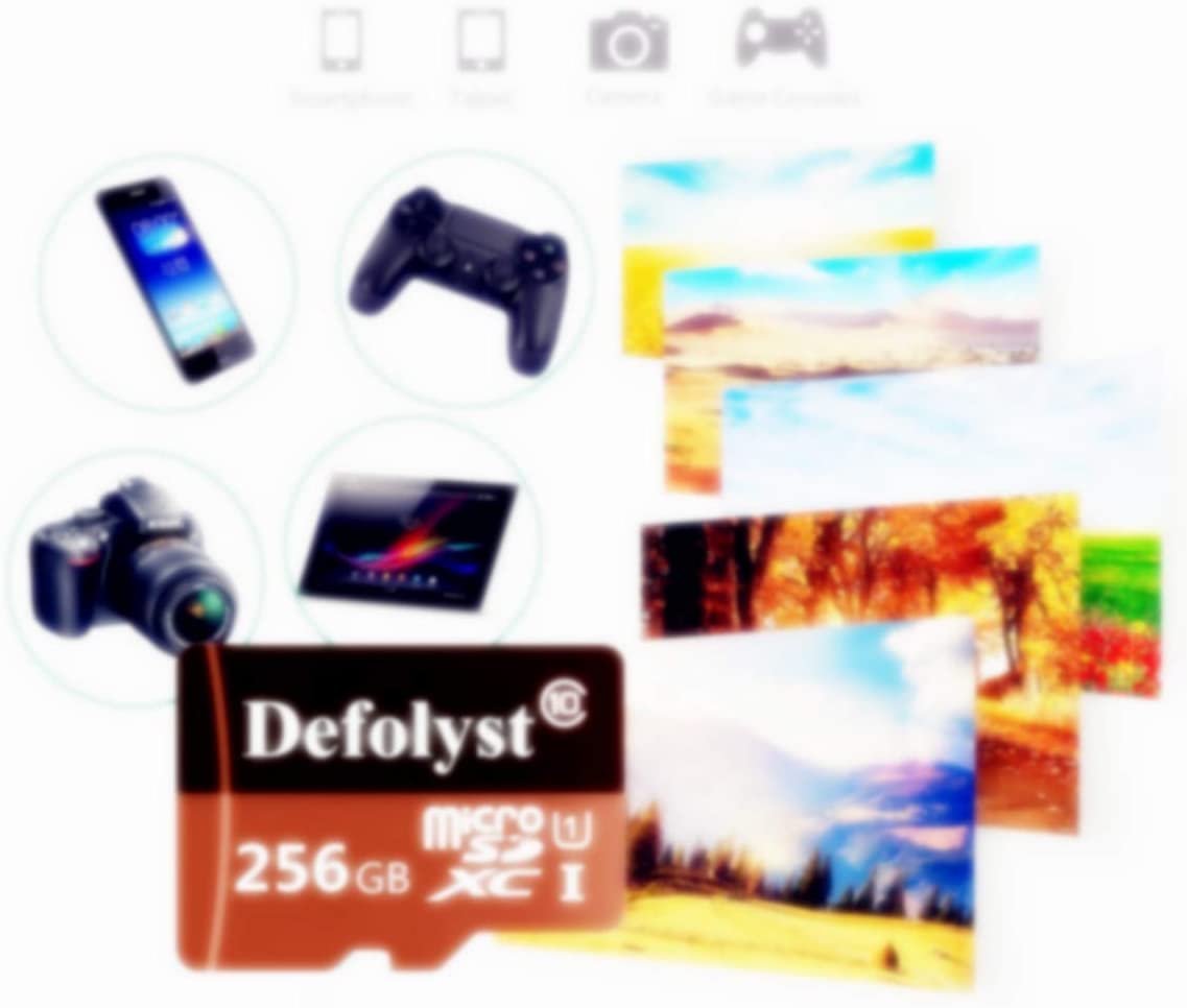 Defolyst Micro SD Card 256GB, microSDXC 256GB Class 10 Memory Card + Adapter (DT79-VR)