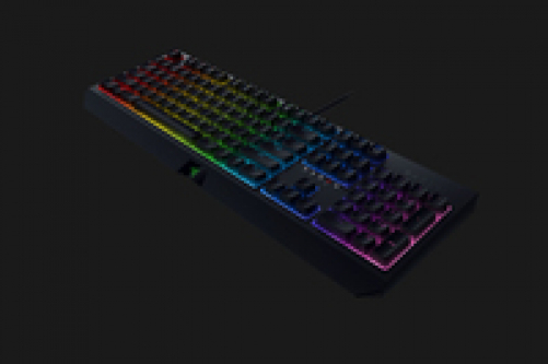 Razer BlackWidow Gaming Keyboard Green Switches Chroma RGB FR-Layout